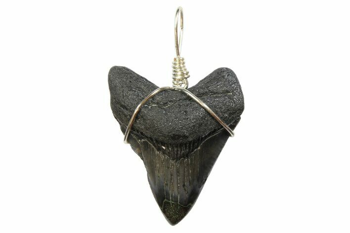 Fossil Megalodon Tooth Necklace #173858